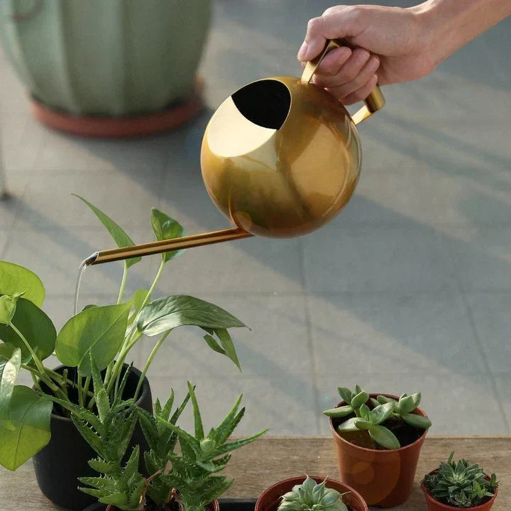 PlantFlow – Slim sfärisk vattenkanna perfekt för känsliga växter