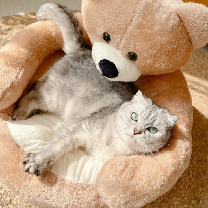 Cozy Bear Kattsoffa Mjuk Kramig Bedårande Kerseymer Tyg