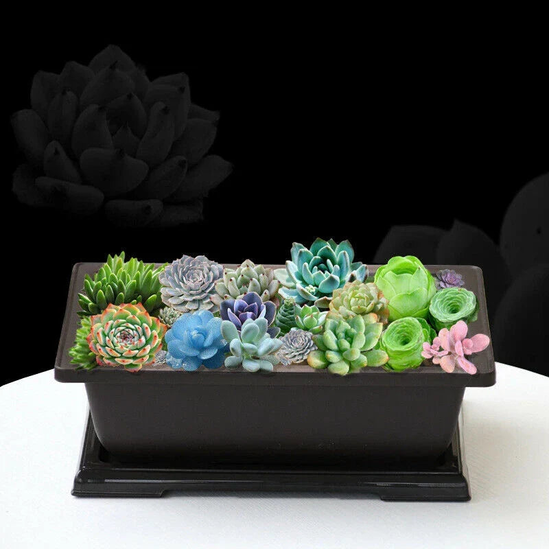 Carvallo Plantekrukke | Antikk-utseende &amp; Bruddsikker | Med Underlag | 29x21x10,5 cm