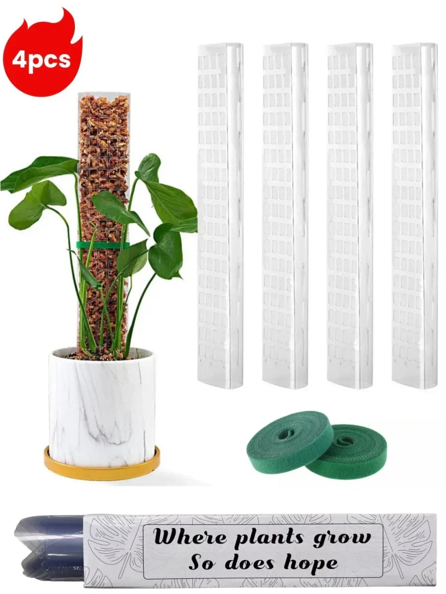Carvallo Moosstab-Set | Transparent växtstöd i PVC | Främjar vertikal tillväxt av klätterväxter | Återanvändbar | 30cm / 60cm längd