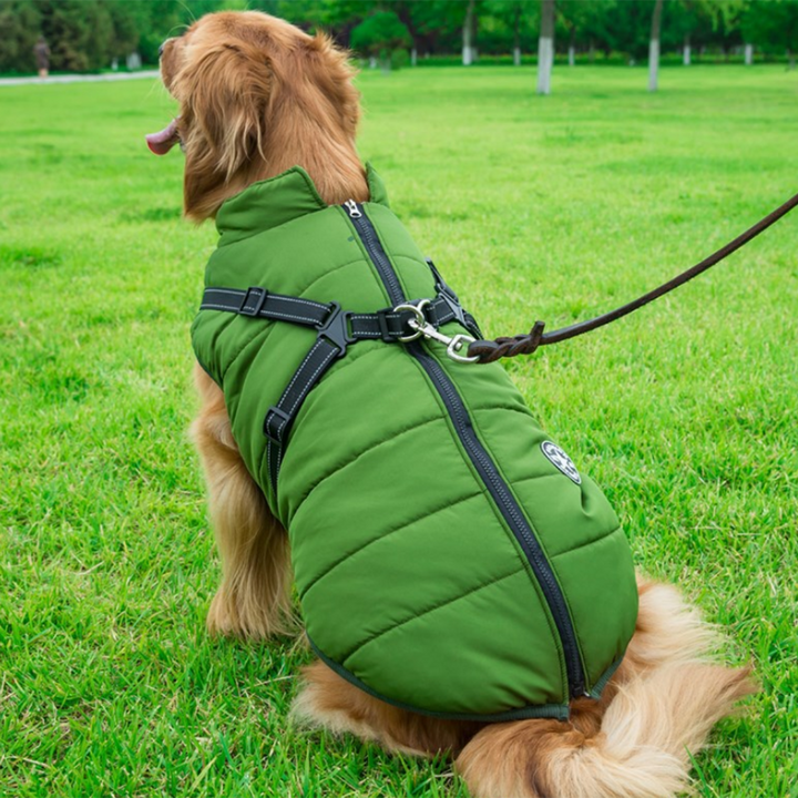 WoofGuard™ - Vattentät vinterjacka med integrerad sele