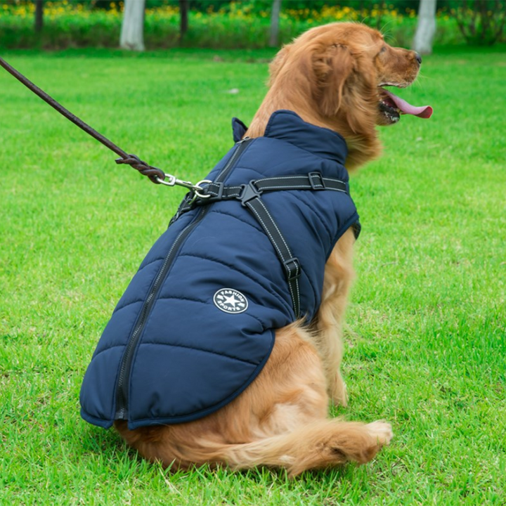 WoofGuard™ - Vattentät vinterjacka med integrerad sele