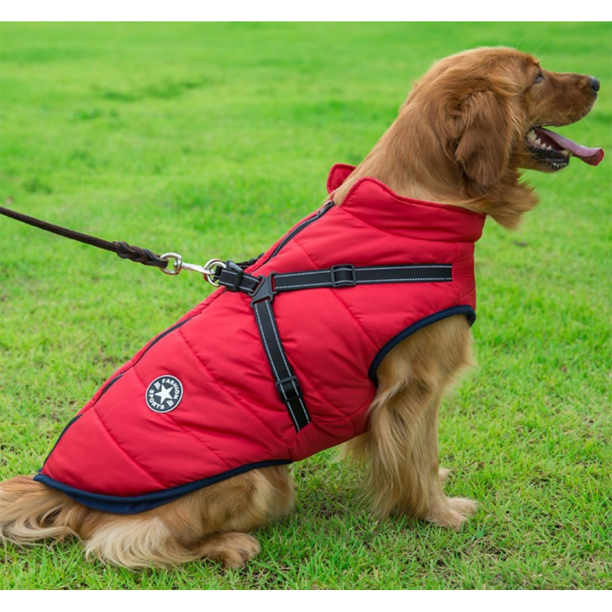 WoofGuard™ - Vattentät vinterjacka med integrerad sele