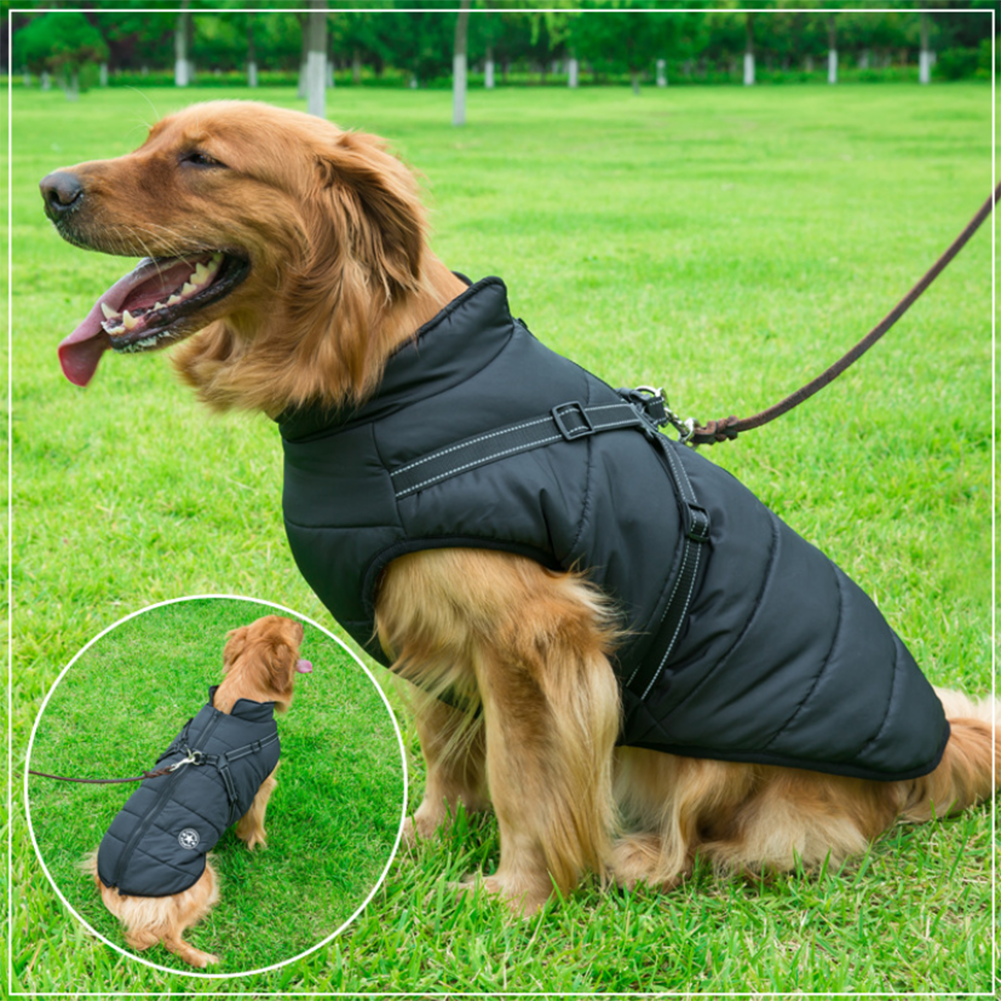 WoofGuard™ - Vattentät vinterjacka med integrerad sele